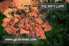 币安钱包注册——精确洞察，推动有效决策，助您实现资产增值。